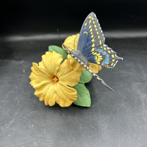 Swallowtail butterfly - swallowtail, on