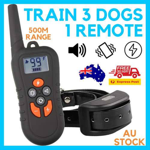 Train dogs 500m - dogs, +