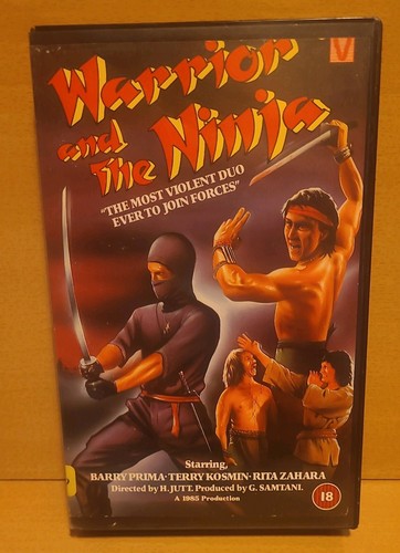 The warrior and - ninja,