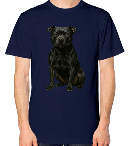 Black staffordshire bull - staffordshire,
