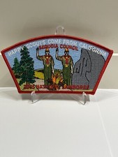 Sequoia Council 2005 BSA Boy