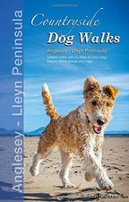 Countryside Dog Walks Anglesey