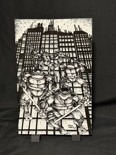 Teenage mutant ninja turtles - teenage,