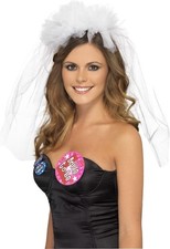 Hen Night Veil on Headband