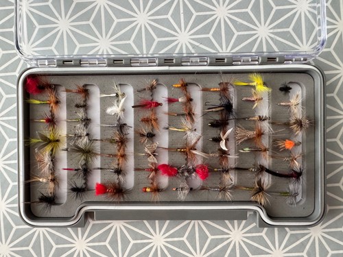 Trout sea - trout, flies;