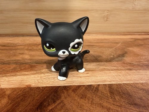 Replica black short haired - replica, cat