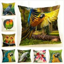 Colorful Style Decorative