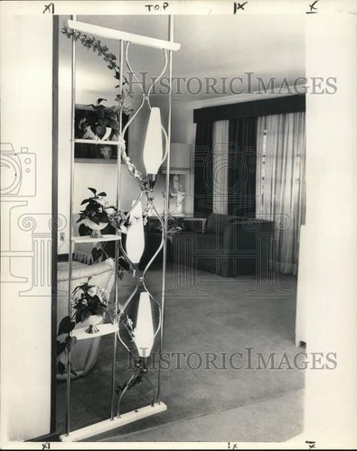 1960 press photo plastic - plastic, ivy