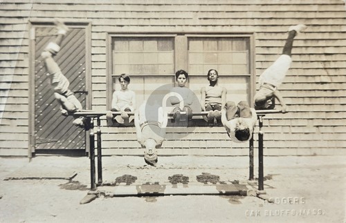 Oak bluffs parallel bars - oak,