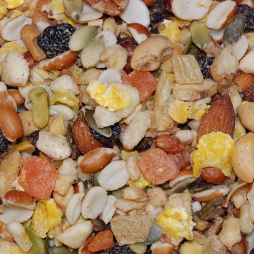 Higgins boca nuts parrot treat - boca,