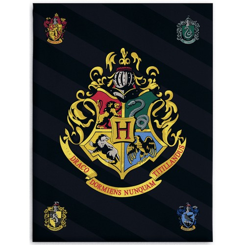 Harry potter hogwarts blanket - harry,