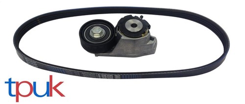 Power steering tensioner and - tensioner,