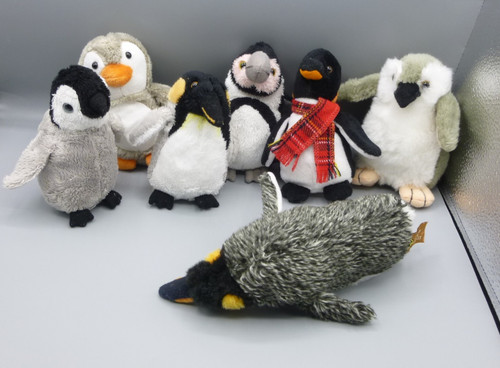 Bundle penguins birds - bundle, of