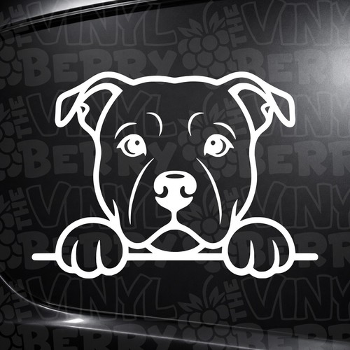 Cute staffy staffordshire - staffy,