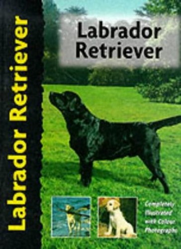 Labrador retriever dog breed - labrador,