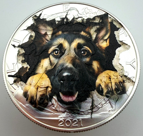 Adorable german shepherd - shepherd,