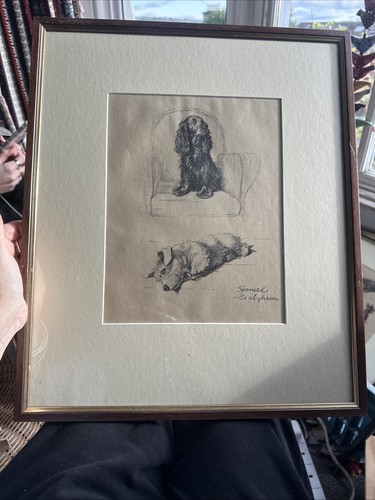 Cecil aldin framed print - cecil,