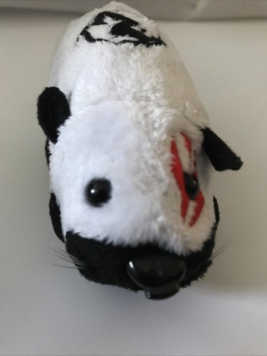 Zhu pets - zhu,