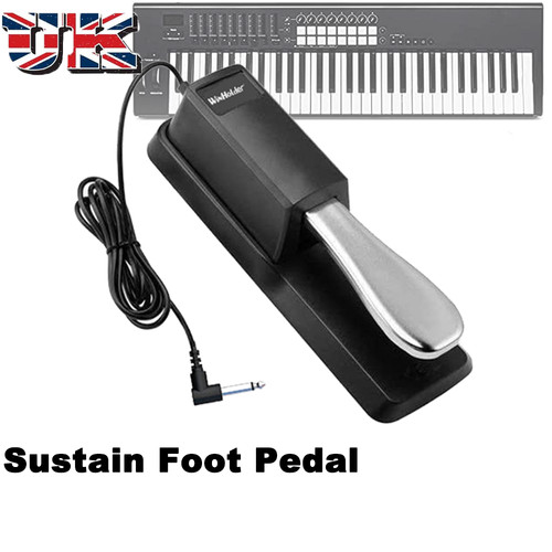 Sustain foot pedal - foot,