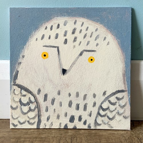 Arctic owl - -,
