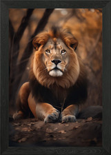 Wild Lion in its Habitat