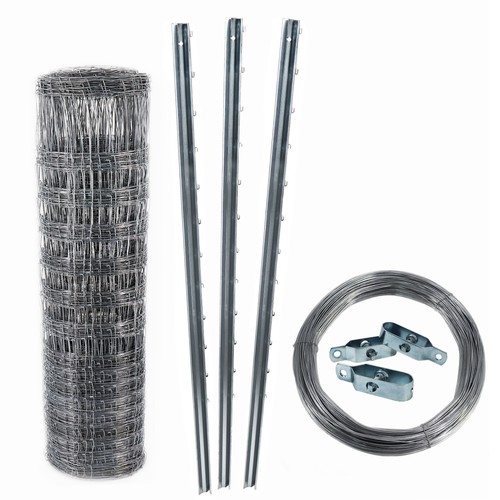 200 game fencing - 200, forest