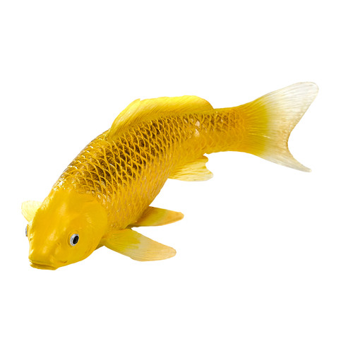Realistic matsuba koi - matsuba,