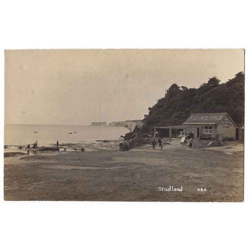 Studland showing fern glen tea - studland,