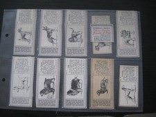 TYPHOO TEA PACKAGE CARDS SET IN SLEEVES- DOGS