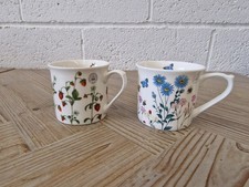 Royal Botantial Gardens Kew Mugs X 2