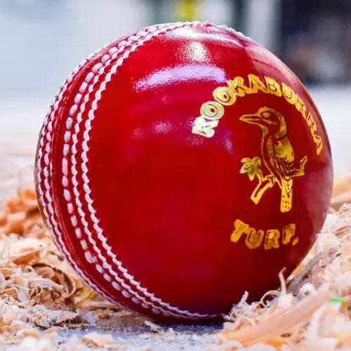 Box red kookaburra turf 5 - box, of