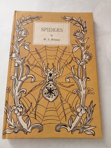 Spiders king penguin - ,