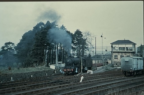 35mm slide lner - slide,
