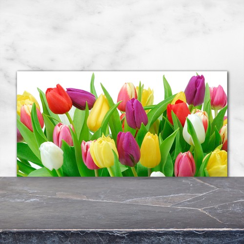 Tulup kitchen glass splashback - kitchen,