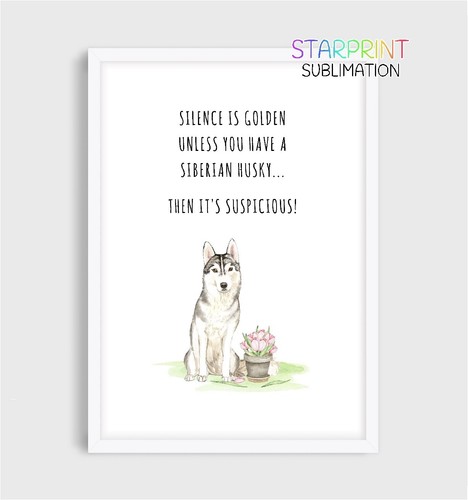 Siberian husky picture - husky,