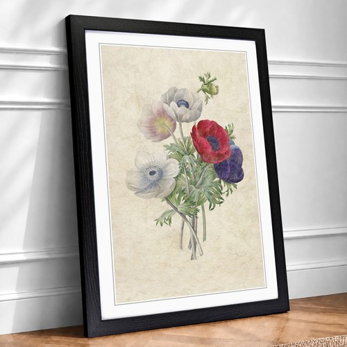 Anemone flowers vintage - anemone,