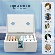 Full automatic small - automatic,