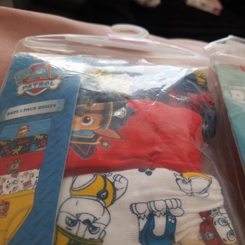 Job lot boys briefs - lot,