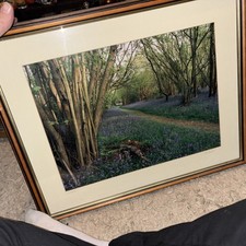 Limited Edition Photograph By