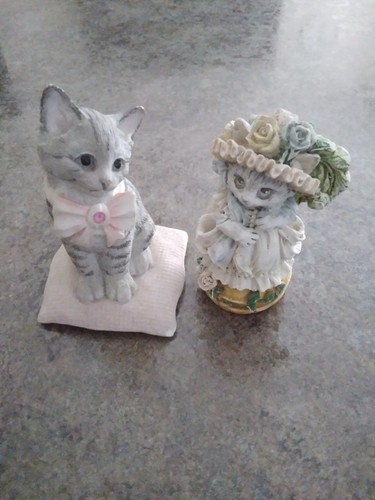 Victorian dress cat and - , cute