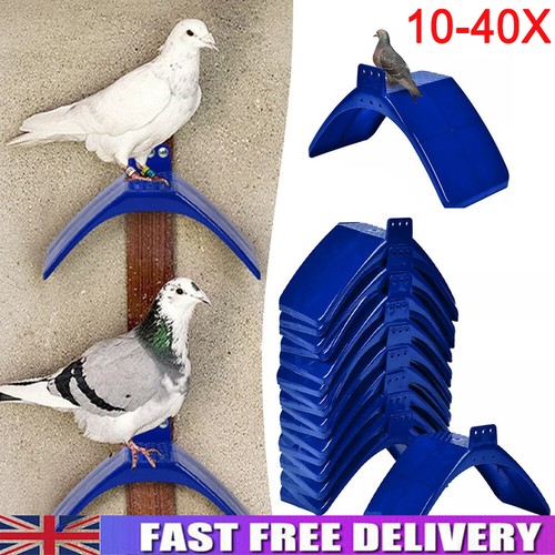 40x pigeon bird pet roost - 10-40x,