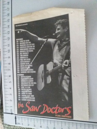 The saw doctors - the,