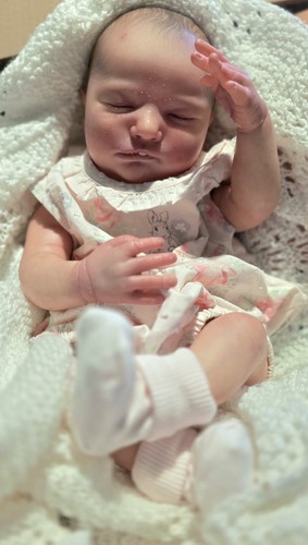 Reborn isabelle - reborn,