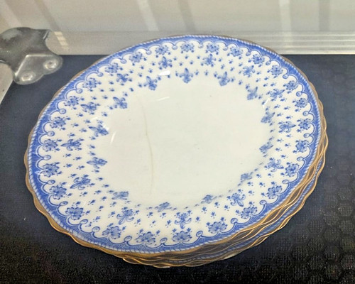 Spode fleur lys blue - x5,