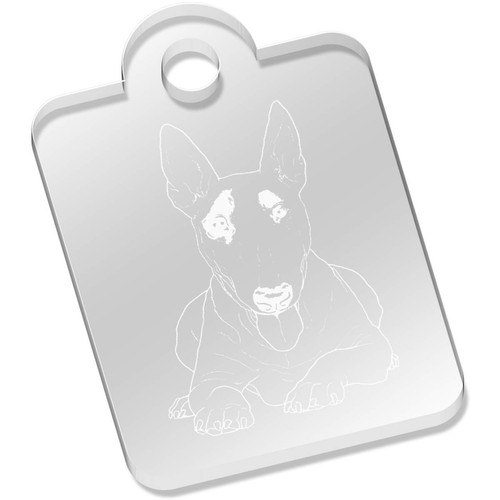 Bull terrier acrylic - terrier',