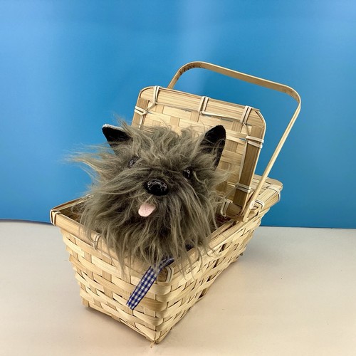 Wizard toto basket - toto,