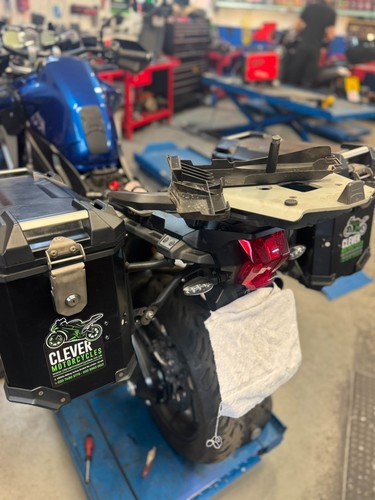 Genuine suzuki vstrong - genuine,