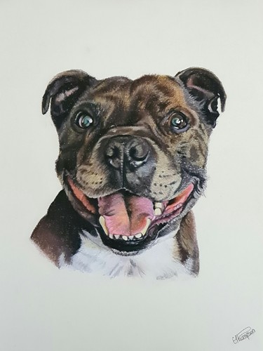 Hand drawn pet portrait staffy - hand,