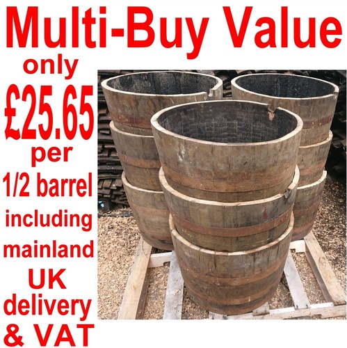 Half oak barrel plant - 9,