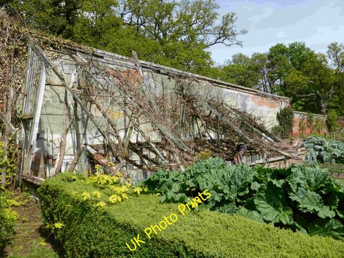 Photo 6x4 ruined greenhouse - photo,